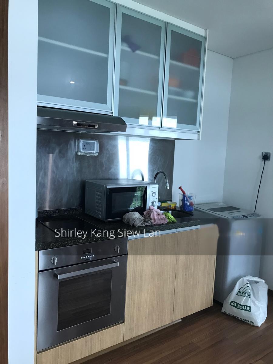 Farrer Park Suites (D8), Apartment #262084871